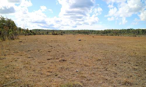 Foto: Stefan Svenaeus 2020