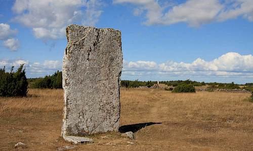 Tingstad flisor Foto: Stefan Svenaeus 2015