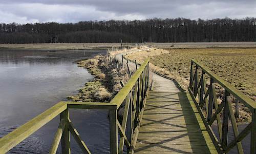 Foto: Stefan Svenaeus