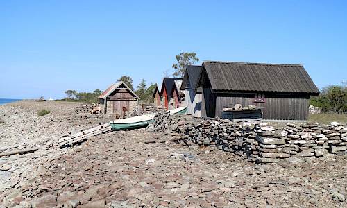 Foto: Stefan Svenaeus 2020