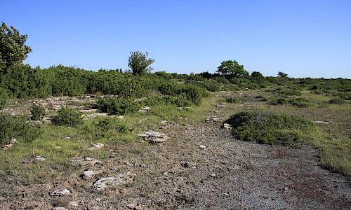 Foto: Stefan Svenaeus Aug 2015