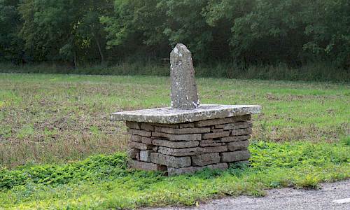 Foto: Stefan Svenaeus 2020