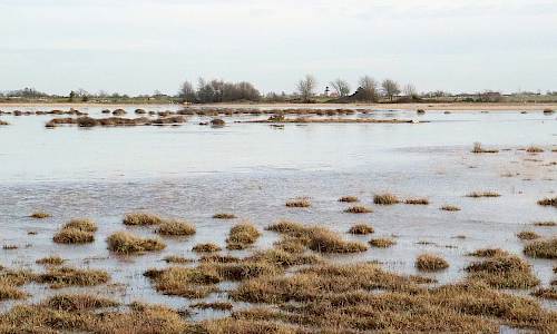 Foto: Stefan Svenaeus 2021 I bakgrunden Stenåsa kyrka