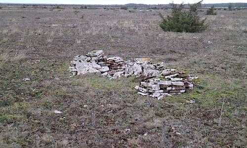 Foto: Stefan Svenaeus 2021