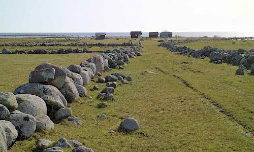 Foto: Stefan Svenaeus 2021