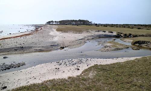 Foto: Stefan Svenaeus 2021