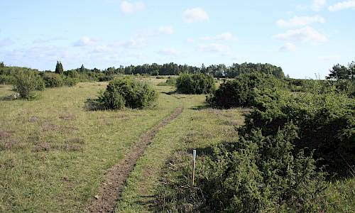 Foto: Stefan Svenaeus