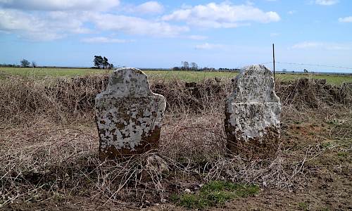 Foto: Stefan Svenaeus 2021