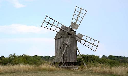 Foto: Stefan Svenaeus 2021