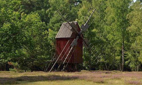 Foto: Stefan Svenaeus 2021