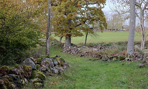 Foto: Stefan Svenaeus 2021