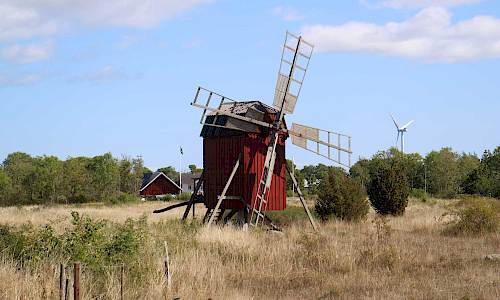 Foto: Stefan Svenaeus 2021