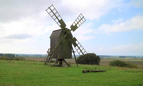 Foto: Stefan Svenaeus 2021