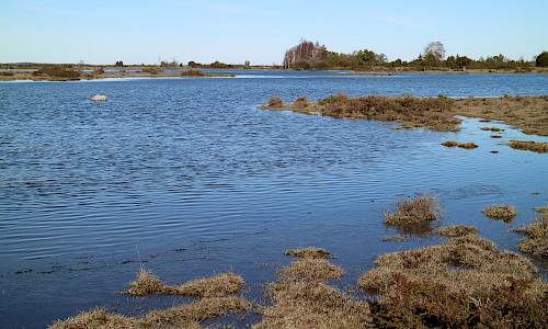 Februari 2022 Foto: Stefan Svenaeus