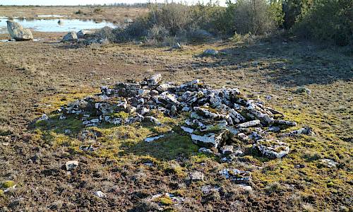 Foto: Stefan Svenaeus 2022