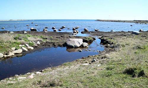 Foto: Stefan Svenaeus 2021