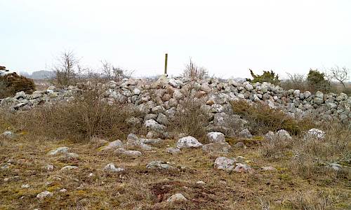 Foto: Stefan Svenaeus 2022