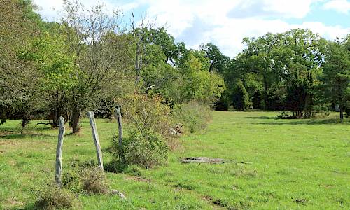 Foto: Stefan Svenaeus 2022