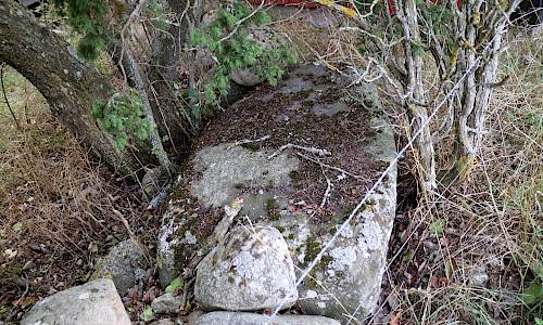 Foto: Stefan Svenaeus 2022
