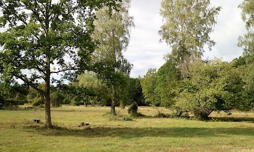 Foto: Stefan Svenaeus 2022