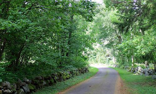 Foto: Stefan Svenaeus 2022