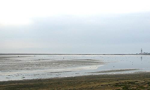 Foto: Stefan Svenaeus 2004