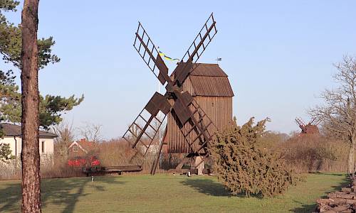 Foto: Stefan Svenaeus 2023