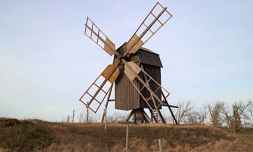 Foto: Stefan Svenaeus 2022