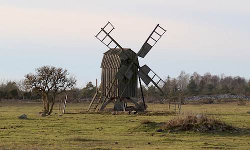 Foto: Stefan Svenaeus 2022