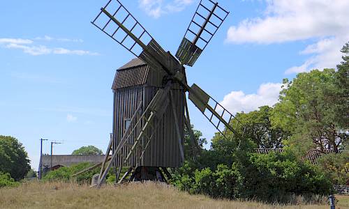 Foto: Stefan Svenaeus 2022