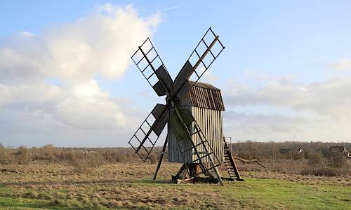 Foto: Stefan Svenaeus 2023