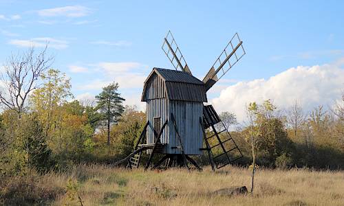 Foto: Stefan Svenaeus 2022