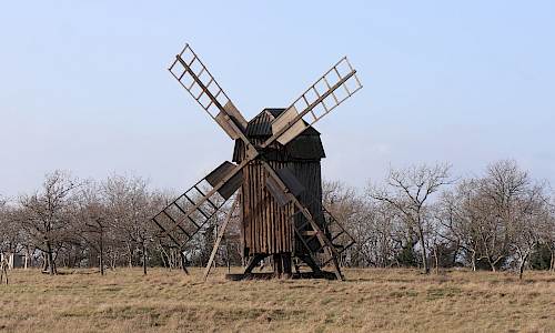 Foto: Stefan Svenaeus 2023