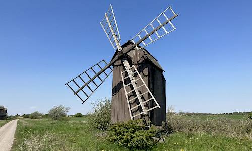 Foto: Stefan Svenaeus 2023