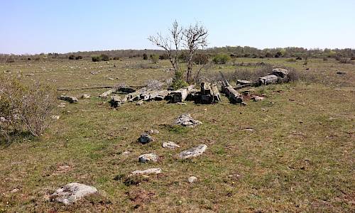 Foto: Stefan Svenaeus 2023