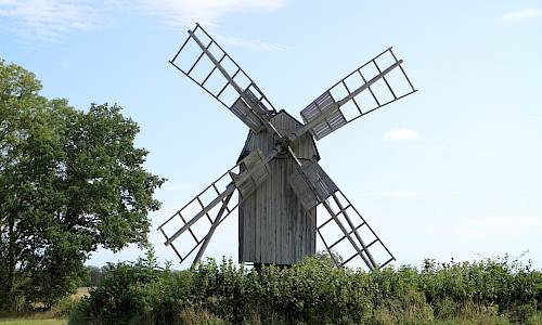 Foto: Stefan Svenaeus 2023