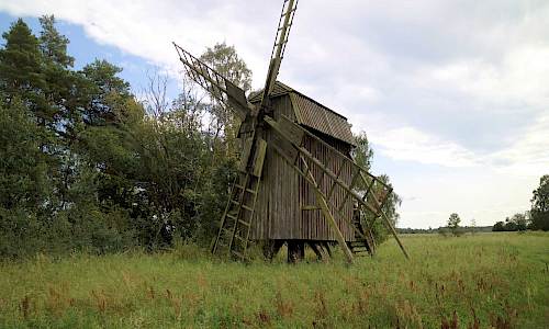 Foto: Stefan Svenaeus 2023