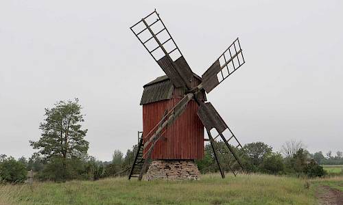 Foto: Stefan Svenaeus 2023
