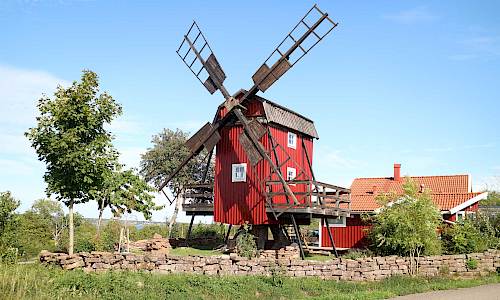 Foto: Stefan Svenaeus 2023