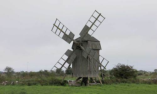 Foto: Stefan Svenaeus 2023