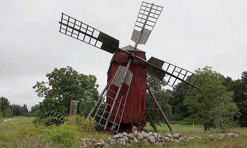 Foto: Stefan Svenaeus 2023