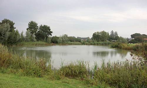 Foto: Stefan Svenaeus 2023