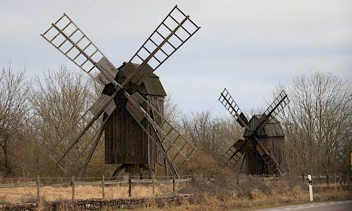 Foto: Stefan Svenaeus 2024