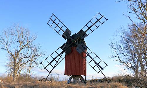 Foto: Stefan Svenaeus 2024