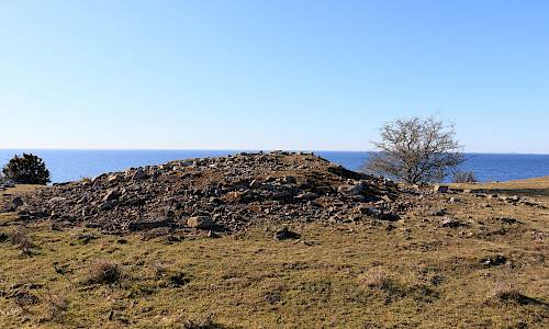 Foto: Stefan Svenaeus 2024