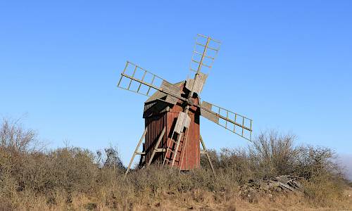 Foto: Stefan Svenaeus 2024