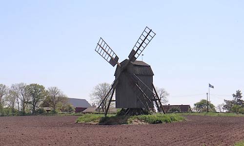 Foto: Stefan Svenaeus 2024