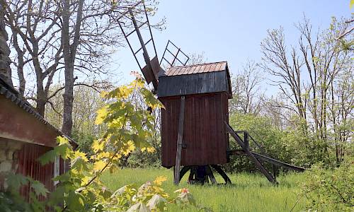 Foto: Stefan Svenaeus 2024