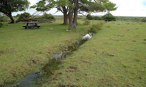 Foto: Stefan Svenaeus 2021