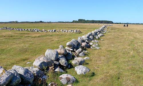 Foto: Stefan Svenaeus 2024